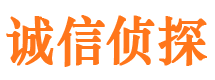 平房侦探